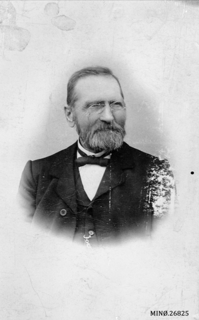 Portrett Av Mann Europeana
