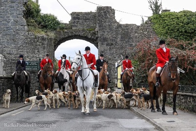 Tipperary foxhounds hot sale