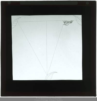 Drawing Of A Spider On A Thread 