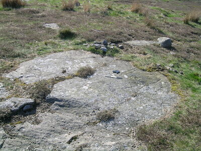 Weetwood Moor 2c | Europeana