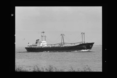 Hector (1963), Neptun.- Dampfschifffahrts-Gesellschaft „Neptun“, Neptun ...