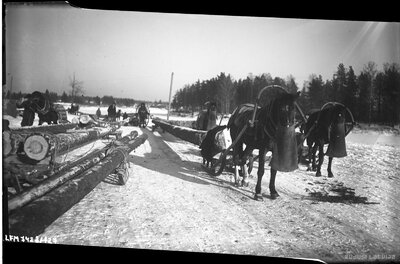 Baļķu vešana no meža ziemā | Europeana